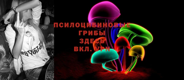mdpv Козельск