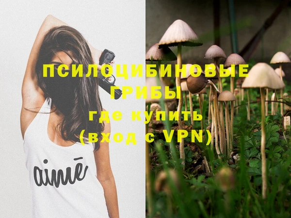 mdpv Козельск