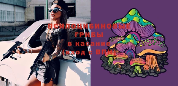 Альфа ПВП Козловка