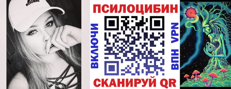 Галлюциногенные грибы Psilocybine cubensis  Невель 